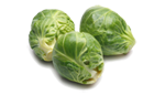 Brussels Sprouts