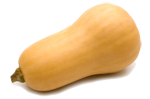 Winter Squash