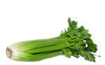 Celery