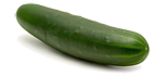 Cucumber