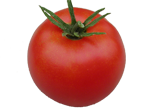 Early Tomatoes