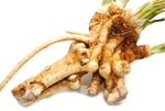 Horseradish
