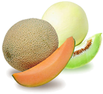 Melon