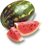 Watermelon