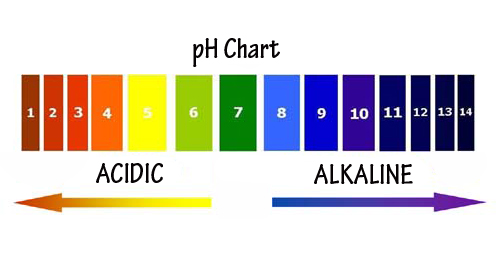 ph Chart