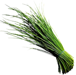 Chives