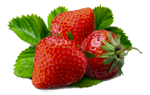 Strawberries