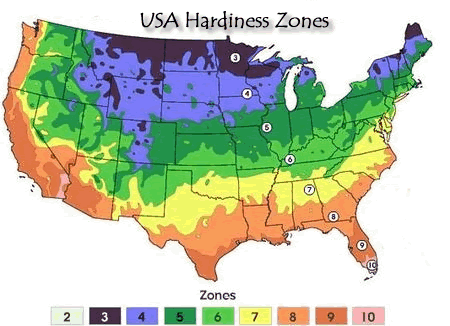 Hardiness Zones